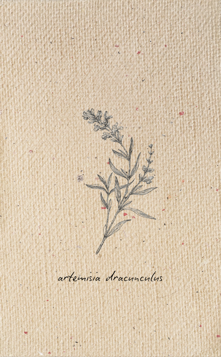Tag - Botanical 3