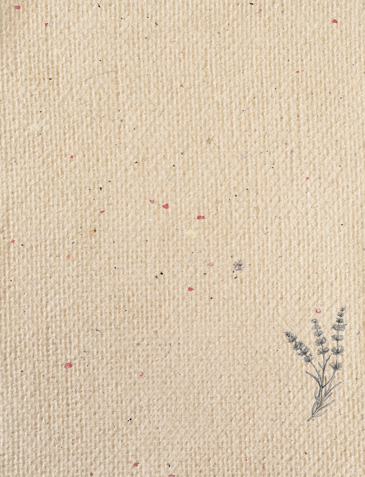 Greeting Card - Lavendula