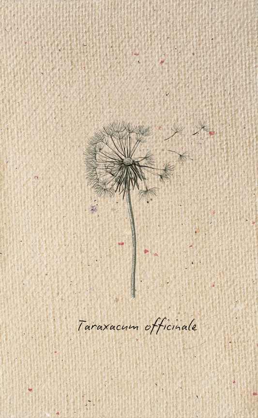 Tag - Botanical 1