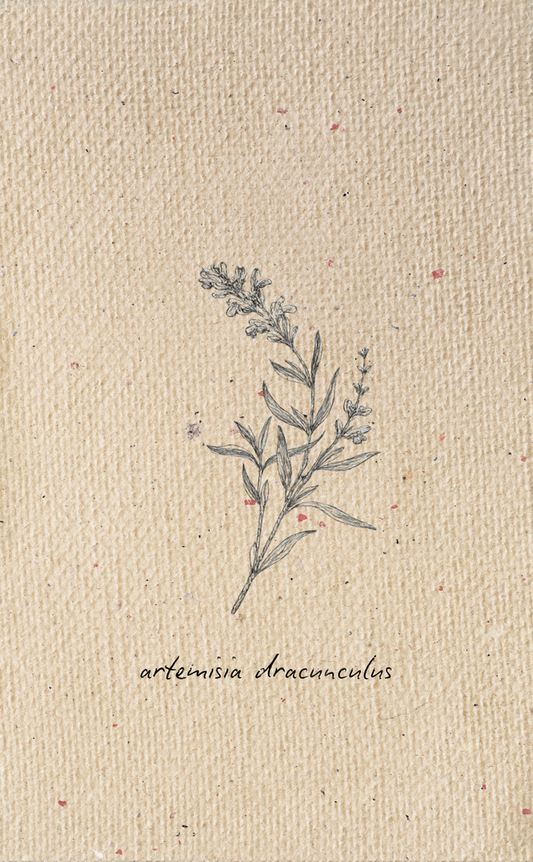 Tag - Botanical 3