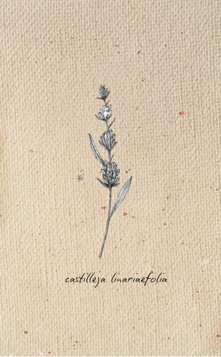 Tag - Botanical 4