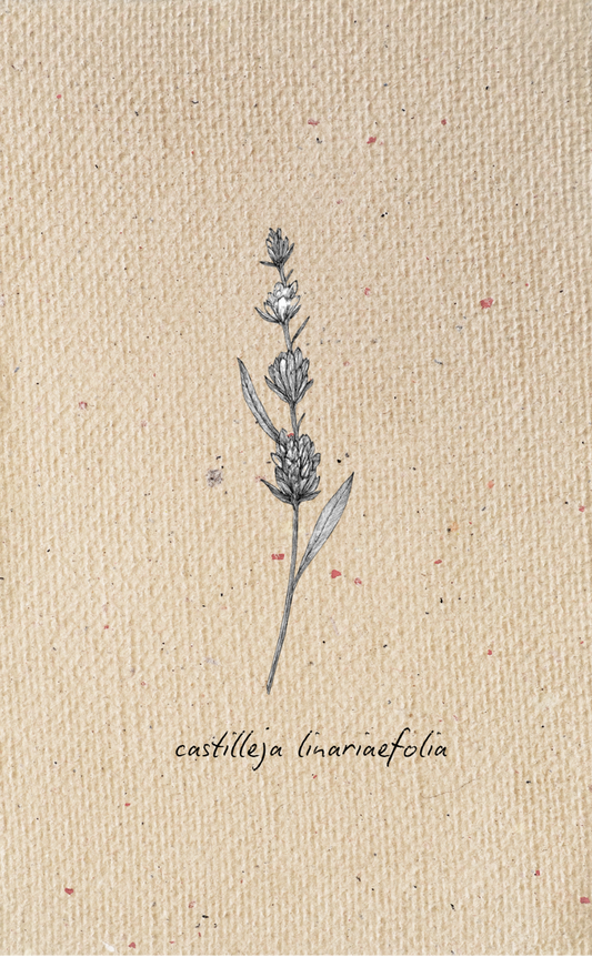 Tag - Botanical 4