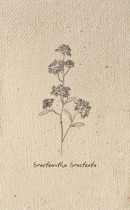 Tag - Botanical 5