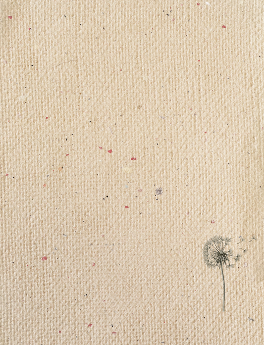 Greeting Card - Taraxacum
