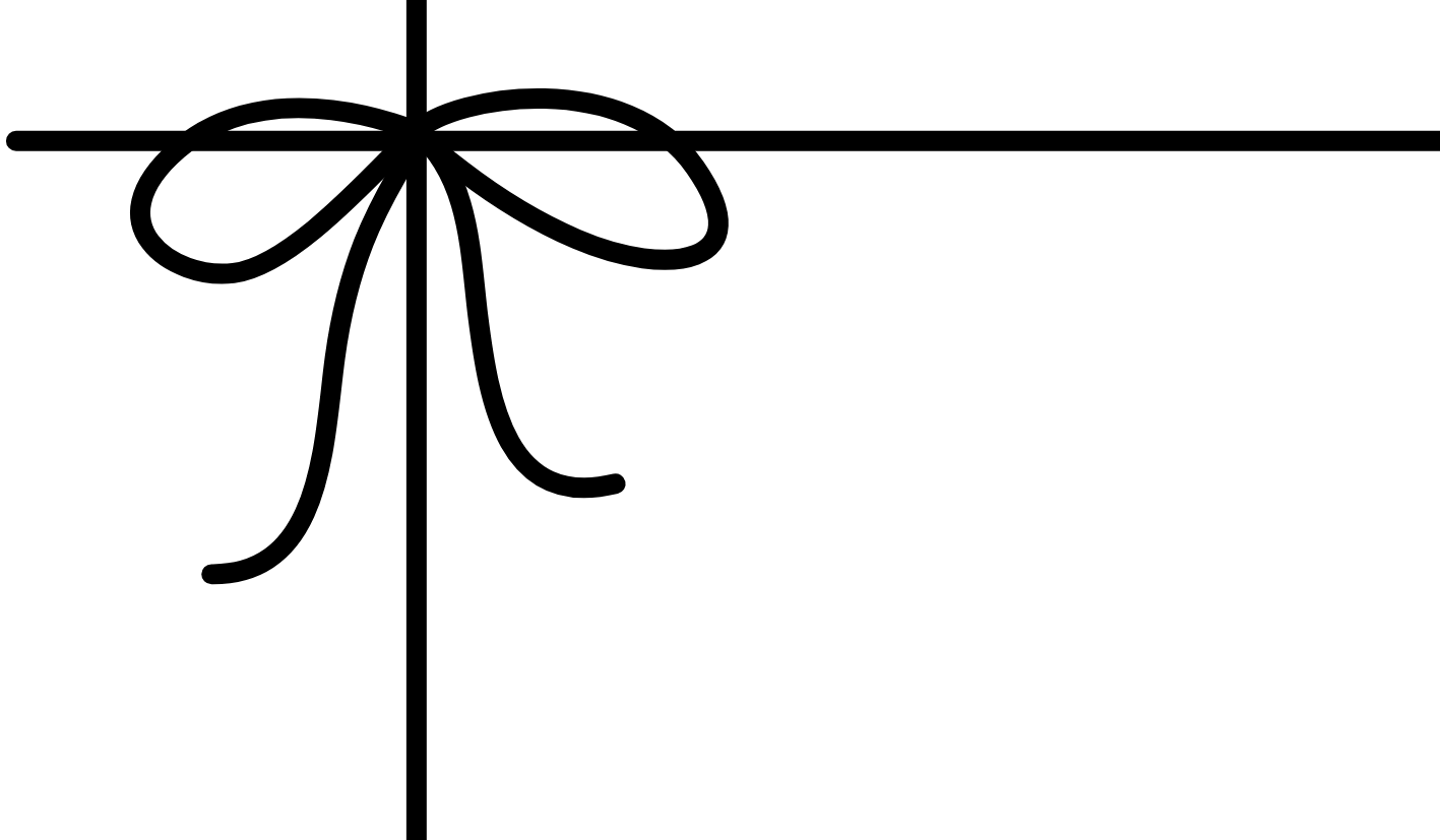 Decorative black bow on a white background
